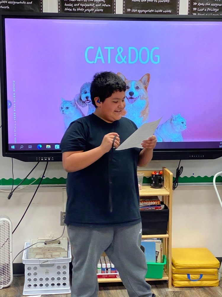 5th grade students present their opinion writing on which pet is best: a cat or a dog