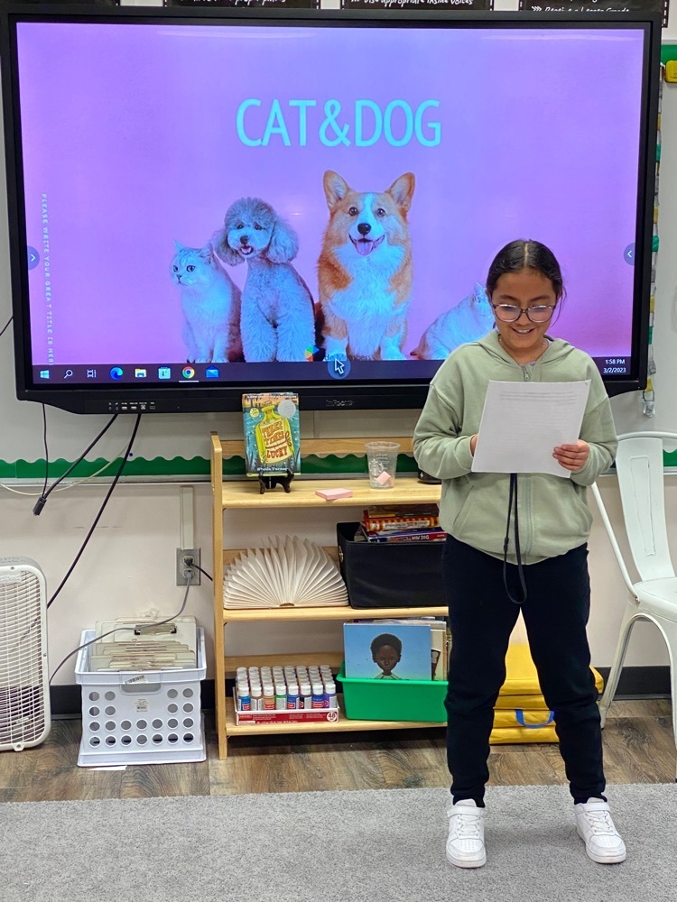 5th grade students present their opinion writing on which pet is best: a cat or a dog