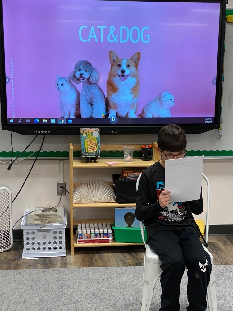 5th grade students present their opinion writing on which pet is best: a cat or a dog